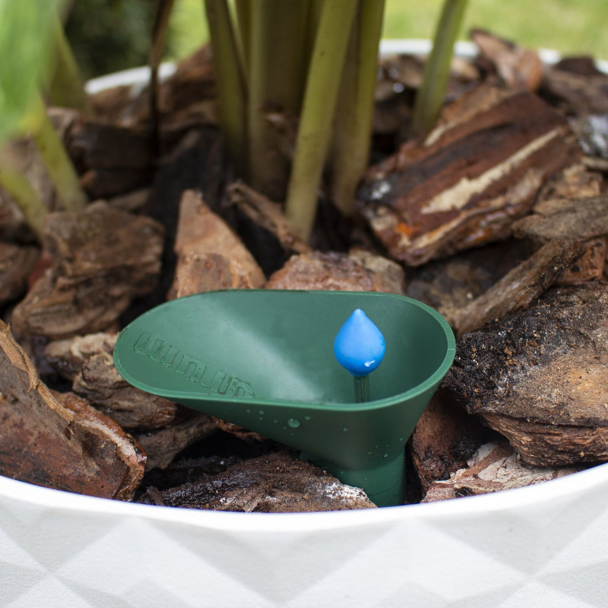 Hydrum Hydrum | Self-Watering | Bioma Plants