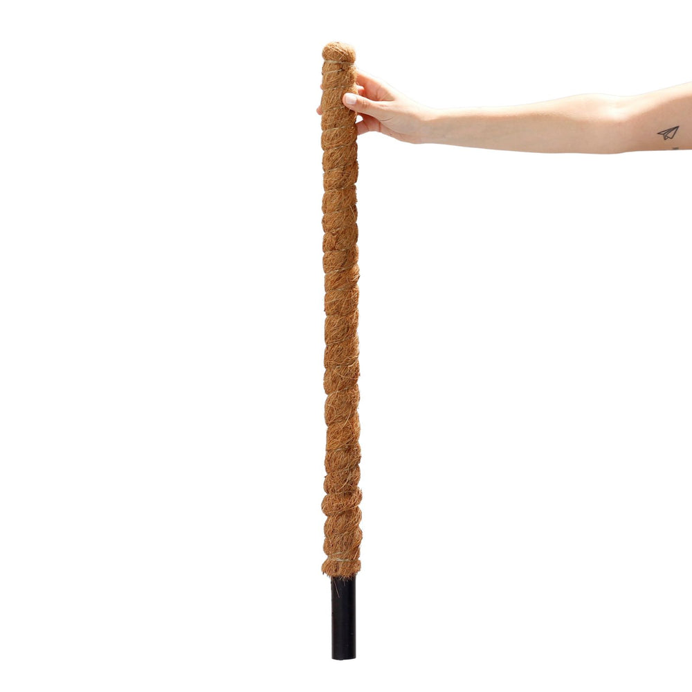 Tutore in Fibra di Cocco