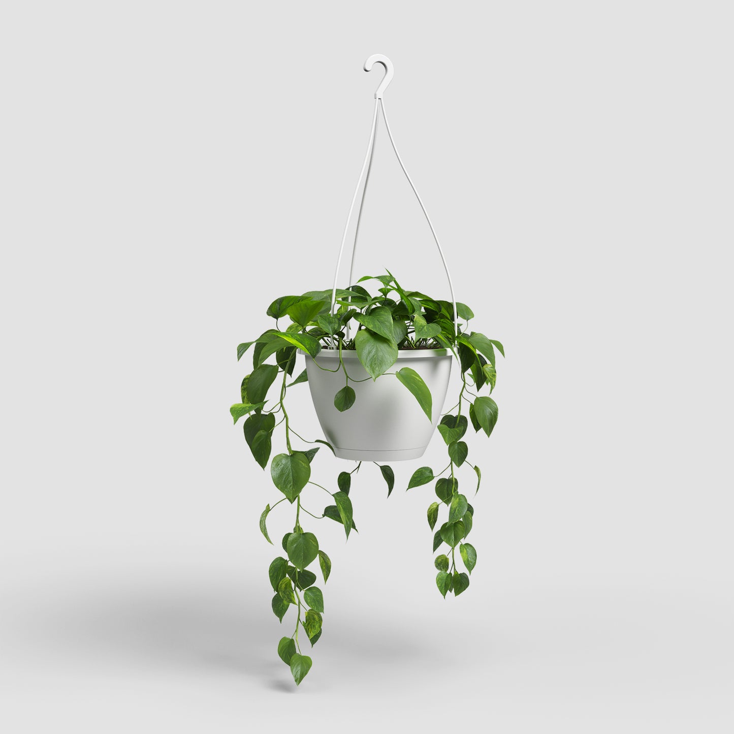 Algarve Vase | Suspension