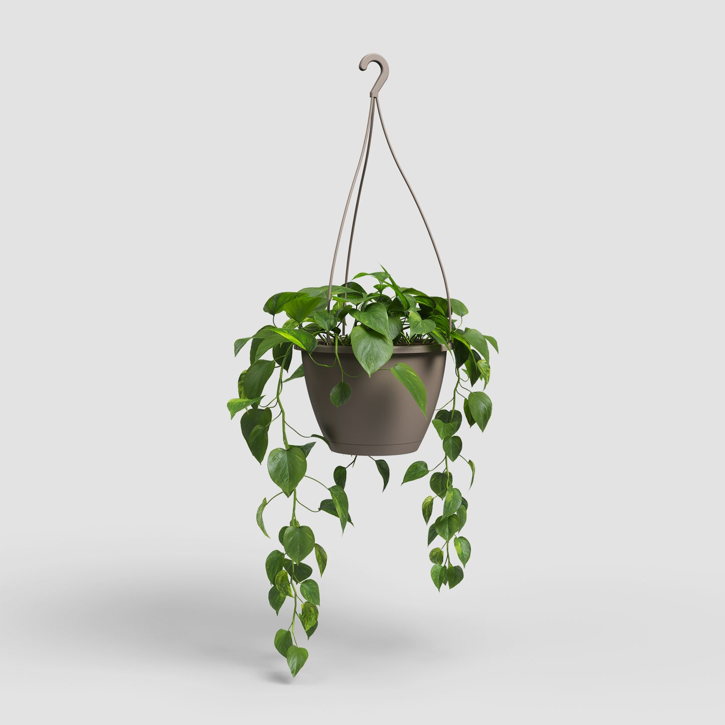 Algarve Vase | Suspension