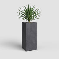 Vaso Alto Sydney