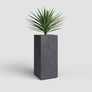 Vaso Alto Sydney
