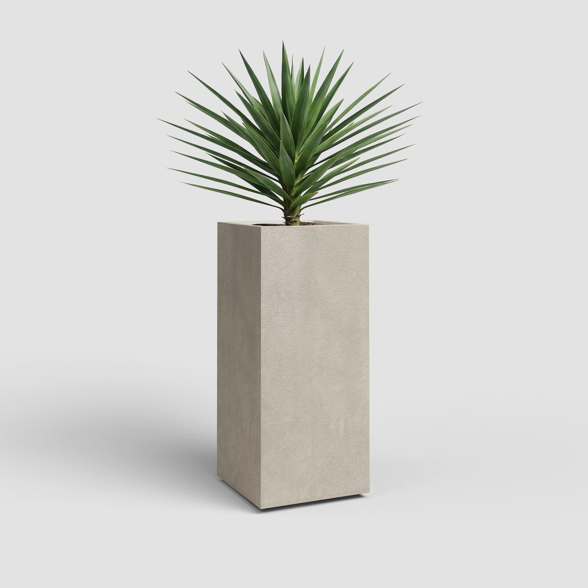Vaso Alto Sydney
