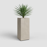 Vaso Alto Sydney