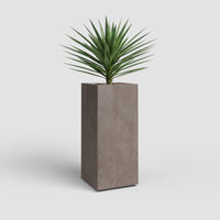 Vaso Alto Sydney