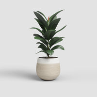 Antheia Vase