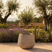 Campana Merlo Pot