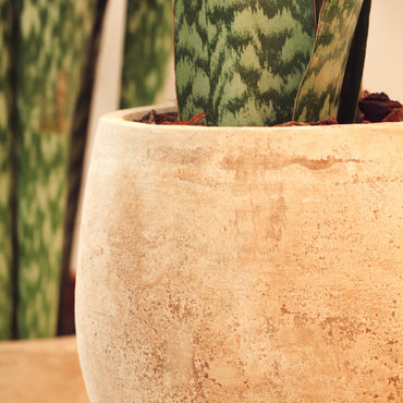 Vaso Campana Ovo Antique Delta