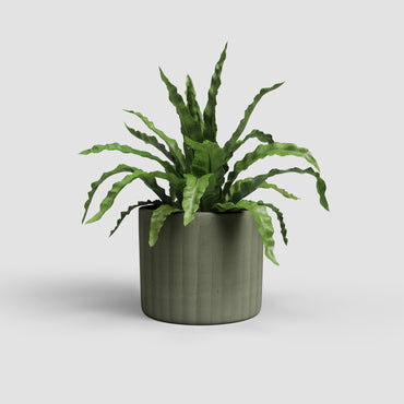 Chloe Vase | Vertical