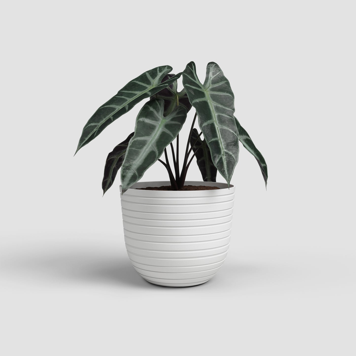 Havana Horizon Vase