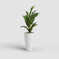 Havana Tropical Vase | Tall