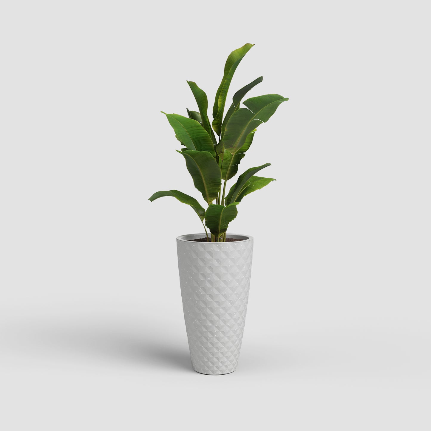 Havana Tropical Vase | Tall