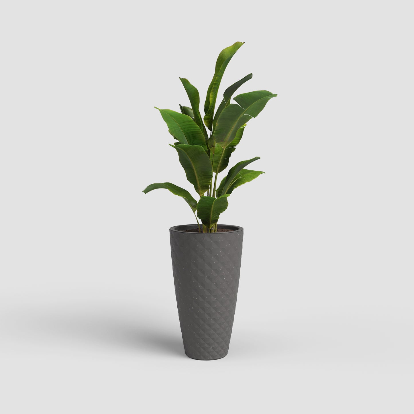 Havana Tropical Vase | Tall