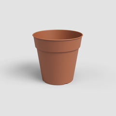 Madagascar Pot