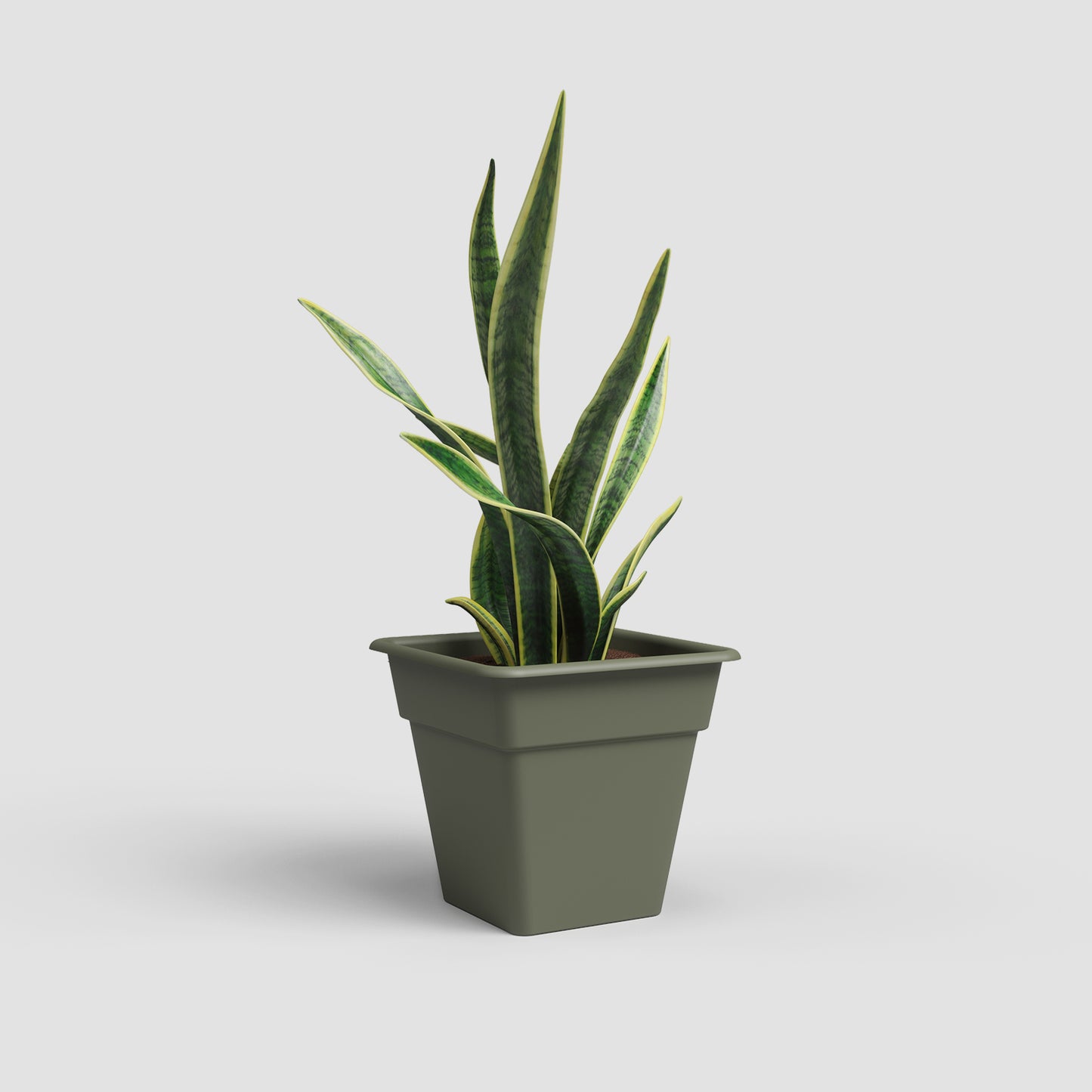 Madagascar Vase | Square