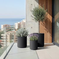 Vaso Malibu