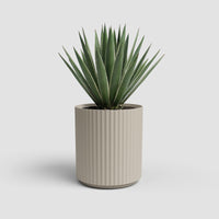 Vaso Malibu