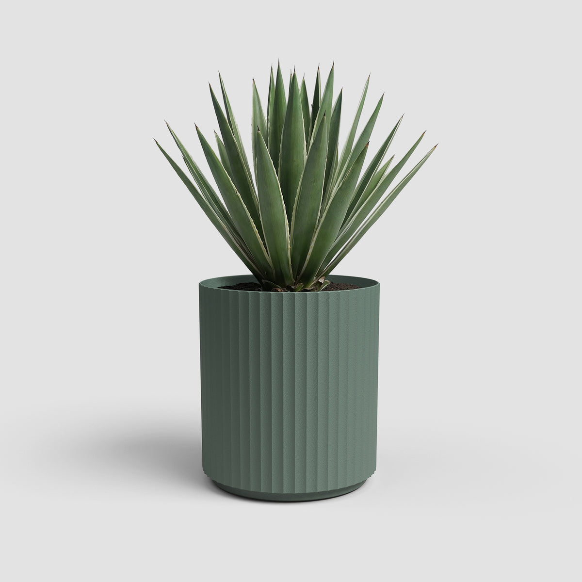 Vaso Malibu