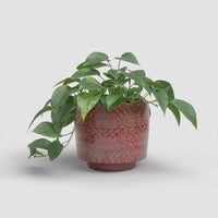 Minerva Pot Red