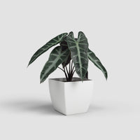 Siena Matte Vase