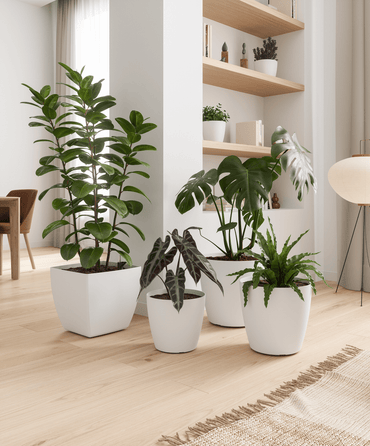 Siena Matte Vase | Self-Irrigation System