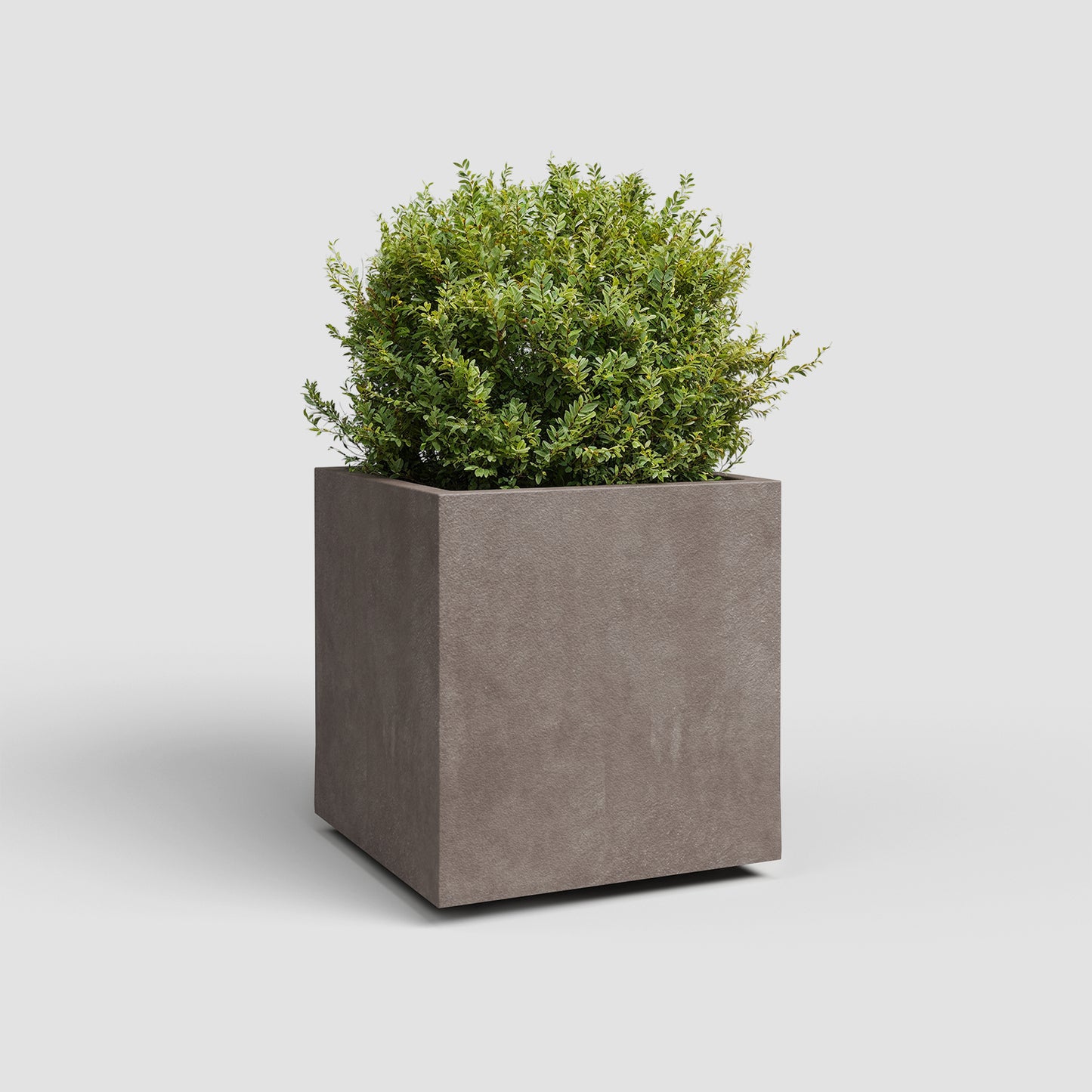 Vaso Quadrado Sydney