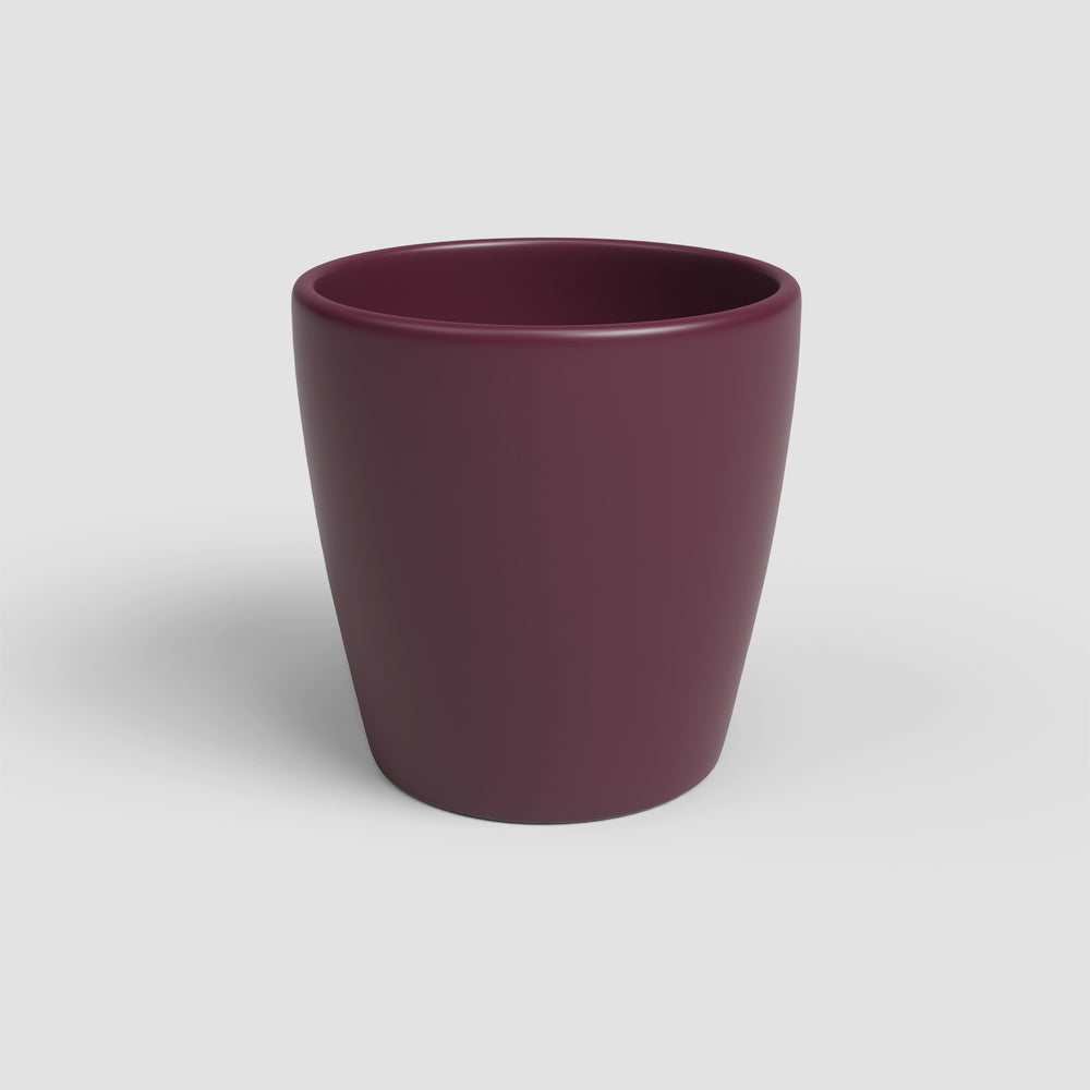 Vaso Thalia | Orquídea