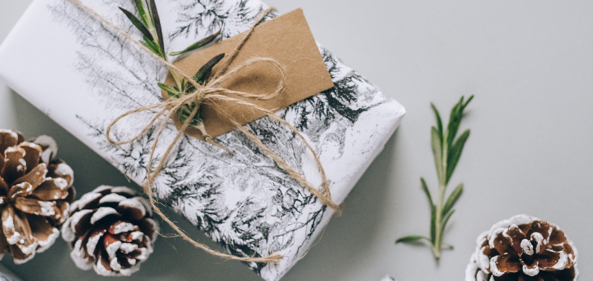 Não sabes o que oferecer no Natal? Oferece plantas como presente! | Bioma