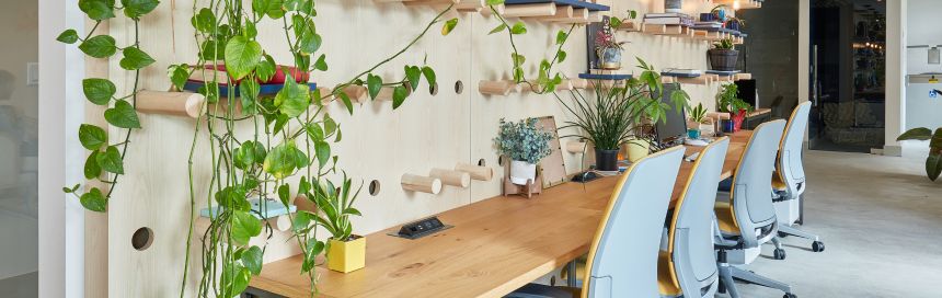 escritório decoração plantas de interior