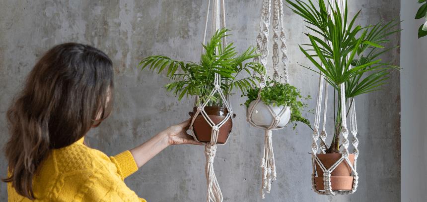 macramé para plantas