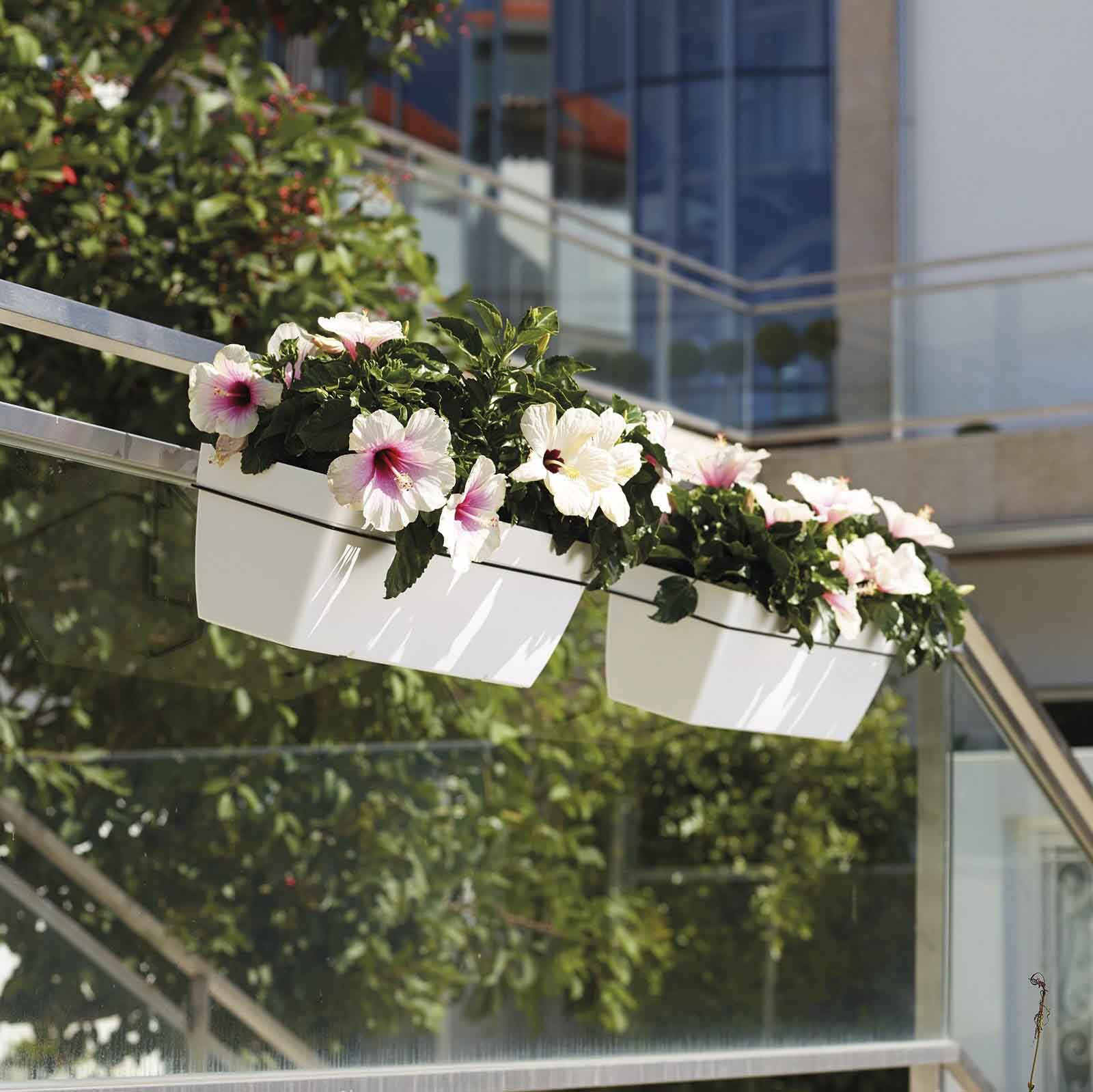 vasos e floreiras para varanda | Comprar plantas online