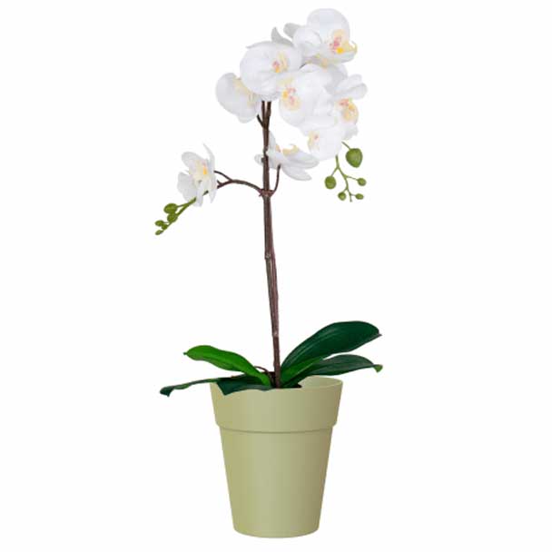 vaso capri orquidea artevasi verde eucalipto orquidea branco