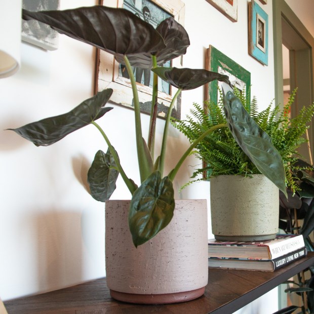 vaso ceramica neria artevasi decoracao interior plantas moveis