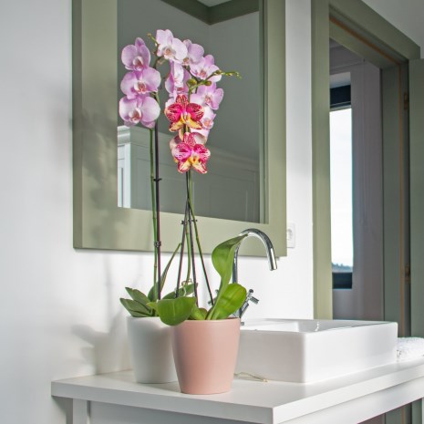 vaso ceramica thalia artevasi  orquidea casa banho