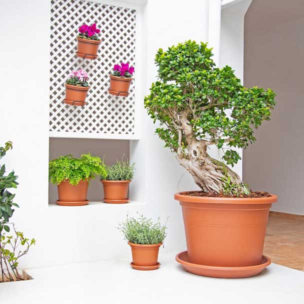 vaso venezia artevasi antracite plantas bonsai