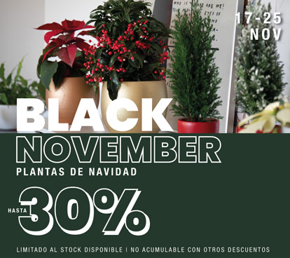 Black November | Descuentos hasta el 30%