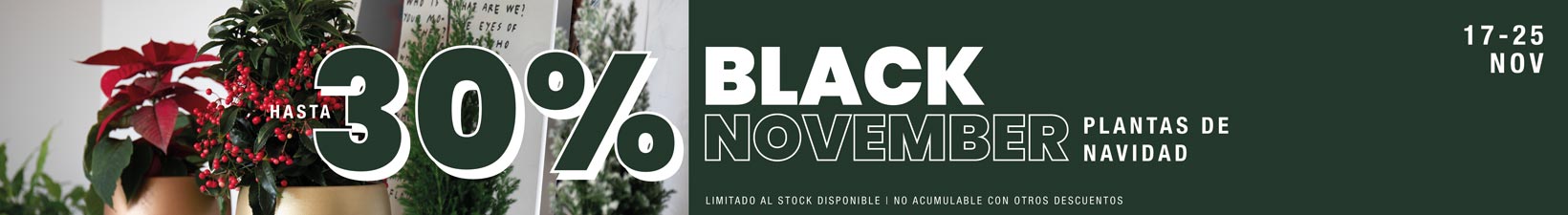 Hasta 30% de descuento en plantas de Navidad