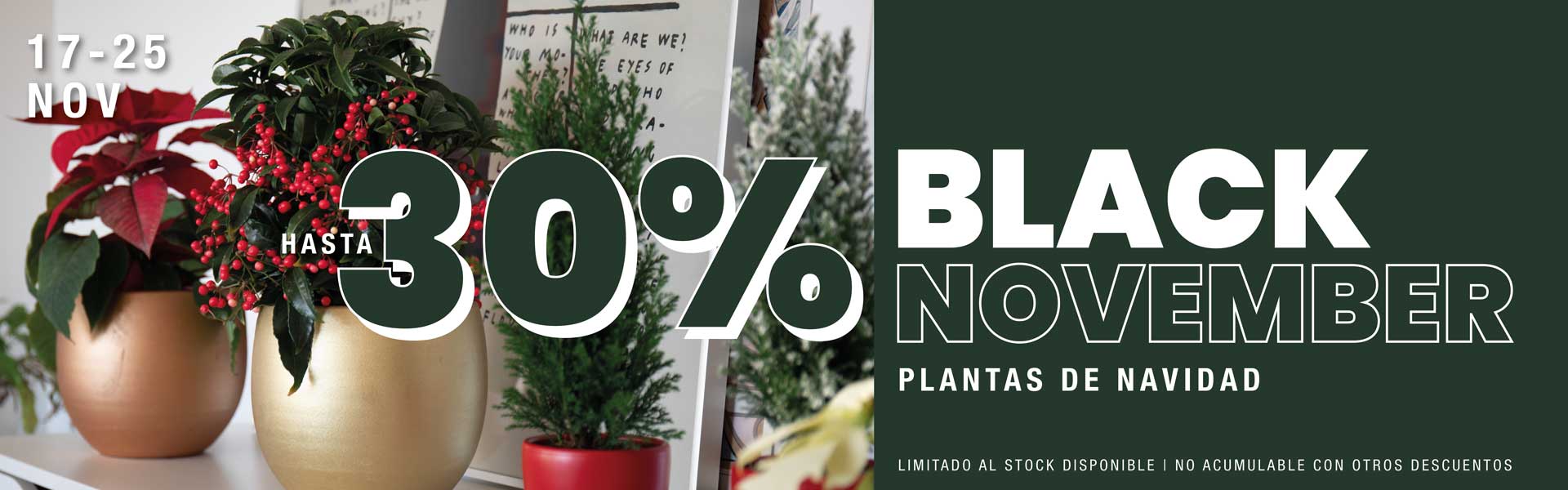 Black November | Descuentos hasta el 30%