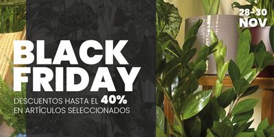 Black Friday | Hasta el 40% de descuento 