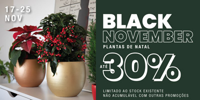 Até 30% de desconto em plantas de Natal