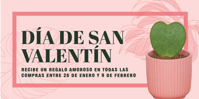 regalos para san valentín bioma plants