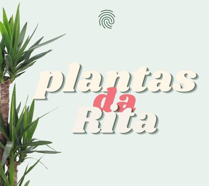 Plantas naturais Rita Pereira