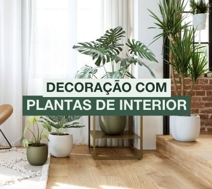 Plant Styling - Decoração de Interiores